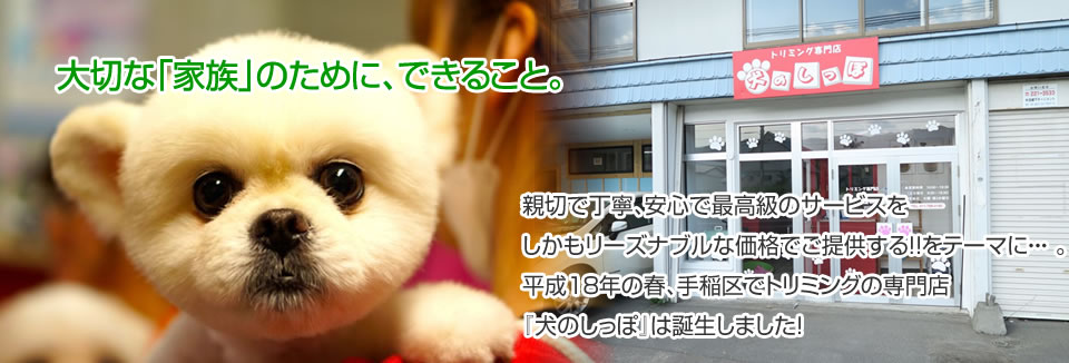 札幌市手稲区のペットショップ 犬のしっぽ いぬのしっぽ